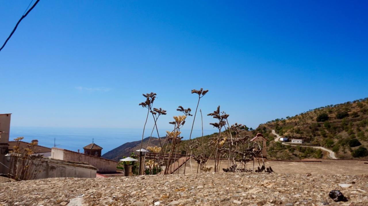 Casa Amigos Sorvilan - La Almendra Exterior foto